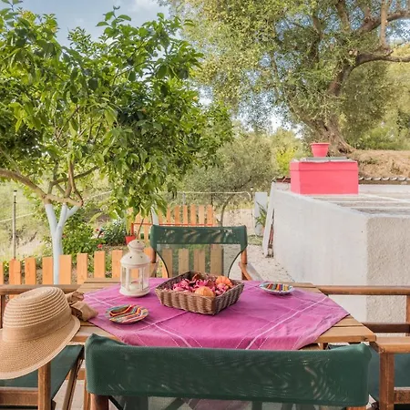 Domus Lukas Apartment Marathias (Zakynthos)